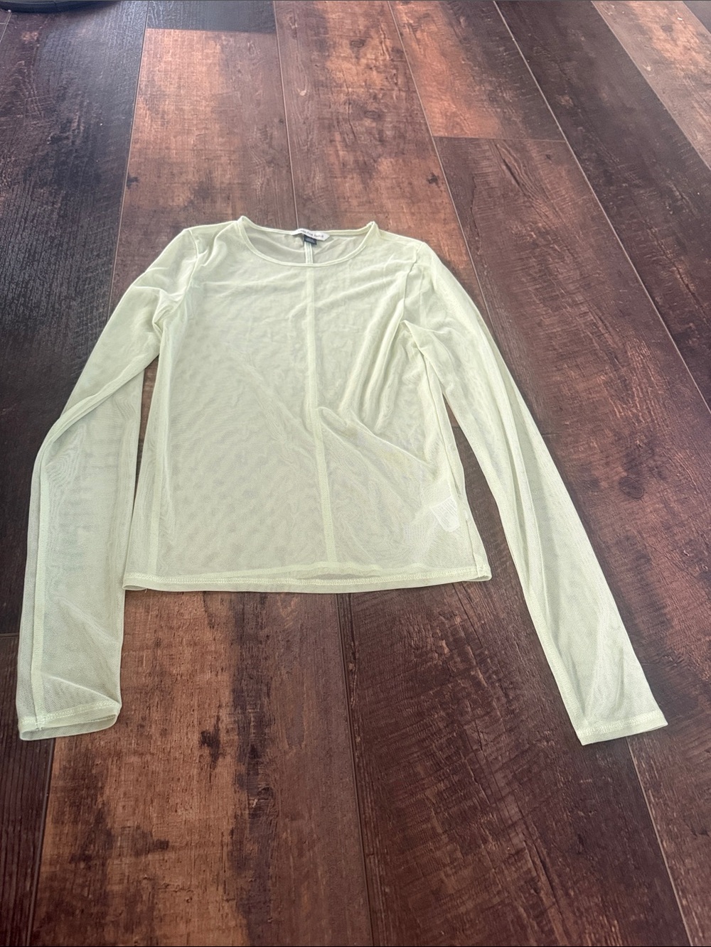 American Eagle Outfitters Light Green Sheer Long-Sleeve Mesh Top